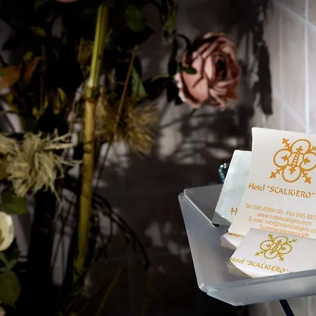 Отель Scaligero Соммакампанья
