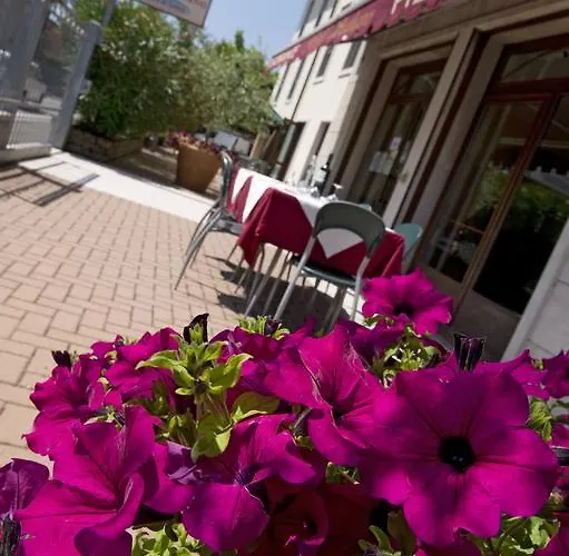 酒店 Scaligero 索马坎帕尼亚